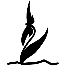 Blumen Kaimer