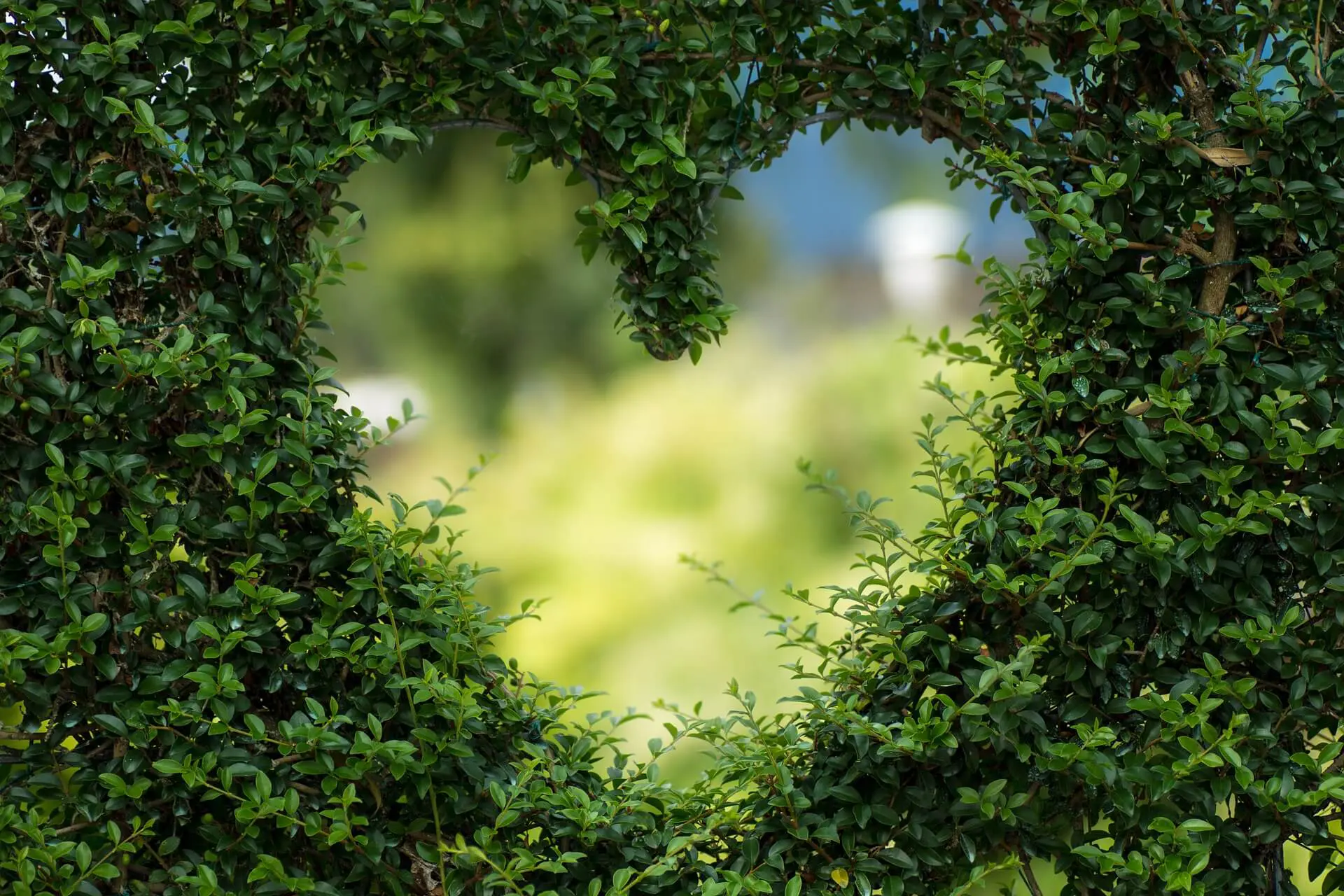 Valentinstag Bei Blumenkaimer Valentinstag Bei Blumenkaimer